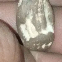 شهاب سنگ و مجسمه های باستانی با ارزش