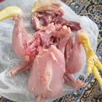 گوشت قرمز مرغ و خروس طبیعی و ارگانیک ارسال رایگان