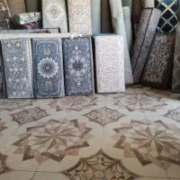 دنیای پشتی در زرینرود