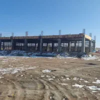 داربست محمدی