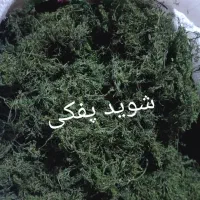 فروش محصولات خانگی|خوردنی و آشامیدنی|شیراز, گل سرخ|دیوار
