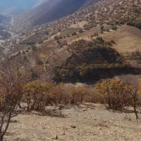 فروش زمین کشاورزی|فروش دفتر صنعتی، کشاورزی، تجاری|مریوان, |دیوار