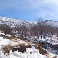 فروش باغ سرکان