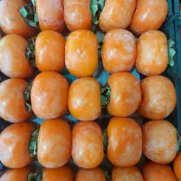 نیازمند کارگر میوه فروشی جم