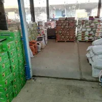 کشمش آبگیری باکیفیت عالی