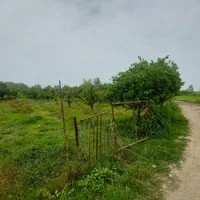 زمین  300 متر درتوبن