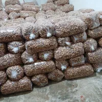 فروش خرما قصر|عمدهفروشی|سرپل ذهاب, |دیوار