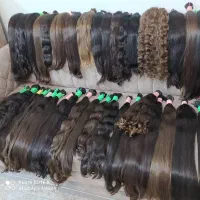 موی رنگی وطبیعی