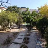 اجاره ویلایی 500 متری فاز 3|اجارهٔ خانه و ویلا|کرج, گلستان|دیوار