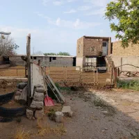 اجاره دامداری