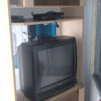 تلویزیون