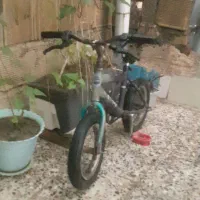 دوچرخه 12|دوچرخه، اسکیت، اسکوتر|اندیمشک, |دیوار