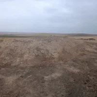 ذرت علوفه ای دپو شده