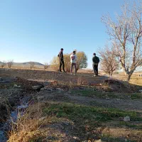 مشارکت پرورش ماهی