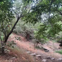 تهاتر و معاوضه باغ در بهترین موقیعت با اپارتمان|فروش زمین و ملک کلنگی|کرج, محمود آباد|دیوار