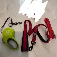 قلاده سگ  لیش سگ نو قلاده کفش