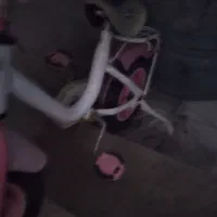 دوچرخه دخترانه