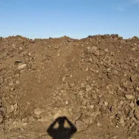 کود گاو درجه ۱