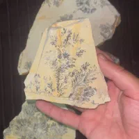 چااقو محمد طلا|کوهنوردی و کمپینگ|همدان, |دیوار