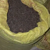 مویز کشمش|خوردنی و آشامیدنی|بیضا, |دیوار