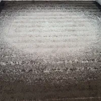 فرش دوازده متری