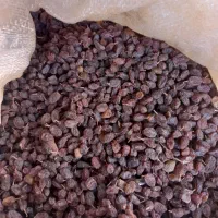 کشمش پلویی افتابی