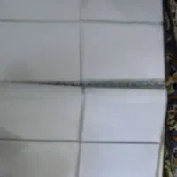 آلبوم قدیمی نو نو آلبوم قدیمی