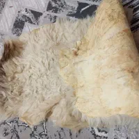 پوست دباغی گوسفند|صنایع دستی و سایر لوازم تزئینی|ری, عباسآباد|دیوار