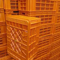 جعبه باکس سبدی|عمده‌فروشی|قم, بکایی|دیوار