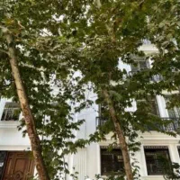 اقدسیه گلستان ۲۱۰ متر دید باز|اجارهٔ آپارتمان|تهران, صاحبقرانیه|دیوار