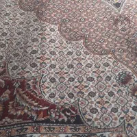 ۲تا فرش ۱۲متری درخان ببین|فرش|خان ببین, |دیوار