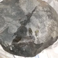 سلام ‌سنگ‌‌پادزهر