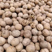 آجیل و خشکبار گردو و بادام و...