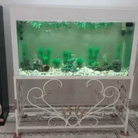 آکواریوم شیشه ضخیم