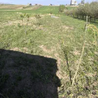 باغ