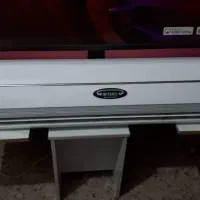 ورق پانچ دار|فروشگاه و مغازه|بندرعباس, |دیوار