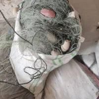 تورماهیگیری حمیرو(تورگوافی)