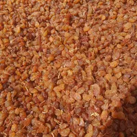 کشمش بادام|خوردنی و آشامیدنی|مشهد, بهمن|دیوار