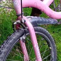 دوچرخه صورتی بچه گانه|دوچرخه، اسکیت، اسکوتر|رشت, خمیران زاهدان|دیوار