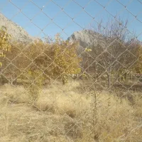 باغ گردو ۲۷۰۰متر قیمت هرمتر۱ملیون تومان|فروش زمین و ملک کلنگی|بیرانوند, |دیوار