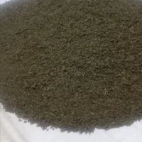 سبزی قرمه و بادرنج