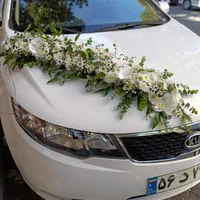 ماشین عروس تاج گل دسته گل اجاره خودرو باکس گل|خدمات پذیرایی، مراسم|شهریار, شهریار|دیوار