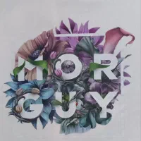 دورس سفید پنبه|لباس|ساوه, |دیوار