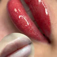 شیدینگ تخصصی لب ( ساکورالیپس )|خدمات آرایشگری و زیبایی|قم, بلوار امین و ساحلی|دیوار