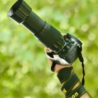 استخدام عکاس