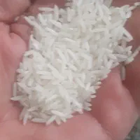 برنج سنگ طارم و شیرودی|خوردنی و آشامیدنی|ساری, |دیوار