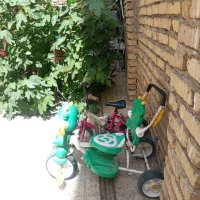 دوچرخه و سه چرخه