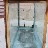 آکواریوم|ماهی|محمدیه-قزوین, |دیوار