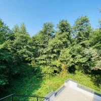 اجاره ویلا نوساز استخردار جنگلی پلاک اول جنگل|اجارهٔ کوتاه‌مدت ویلا و باغ|نور, |دیوار