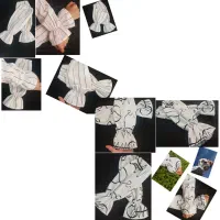 ساق دست کارشده